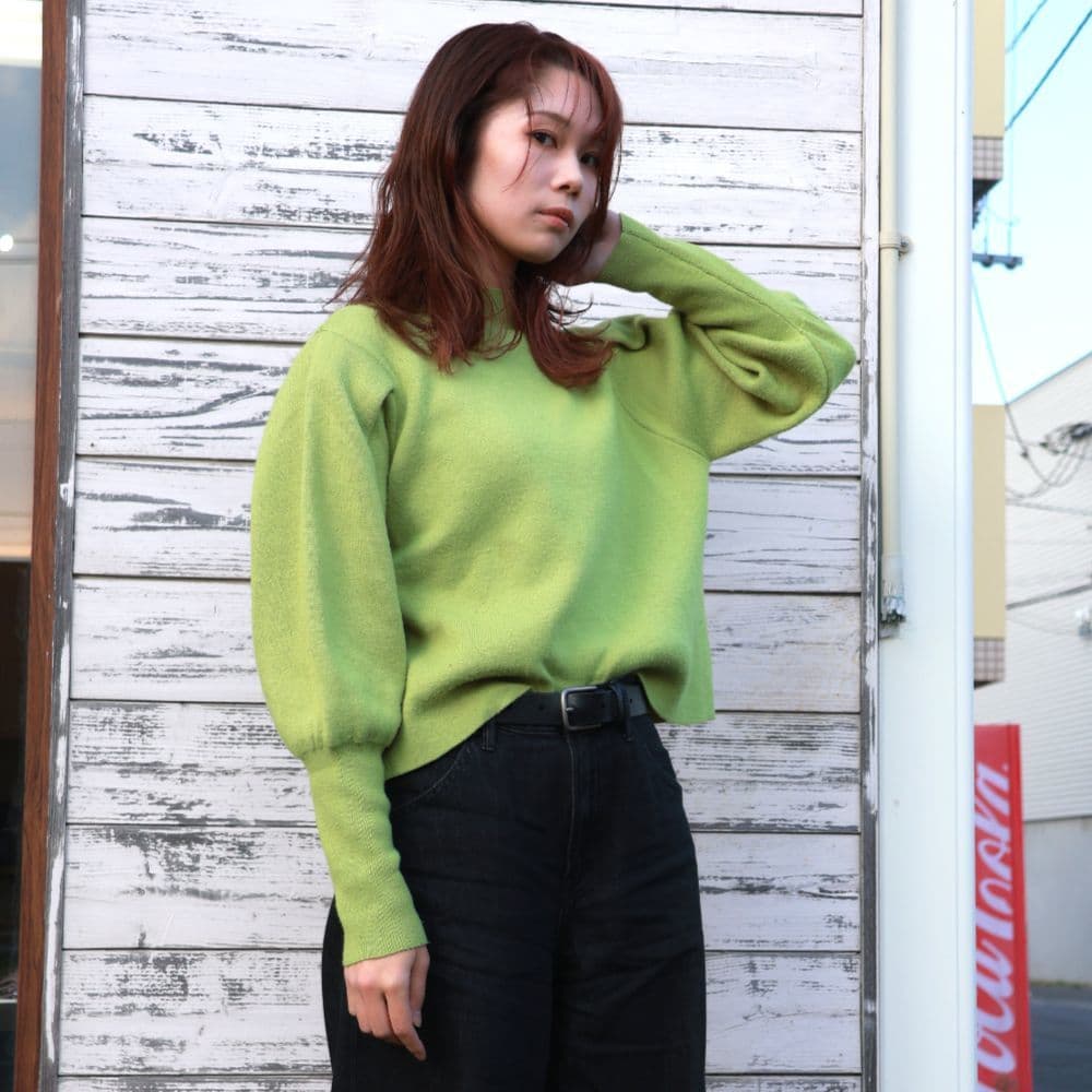 フィグレッドミディアムヘア